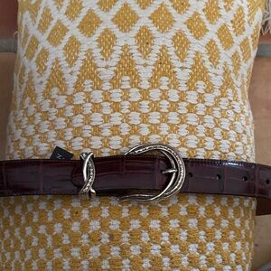 Brighton Deep Brown Belt with Silver Buckle